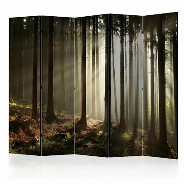artgeist Paravent Coniferous forest II [Room Dividers] grau-kombi Gr. 225 x günstig online kaufen