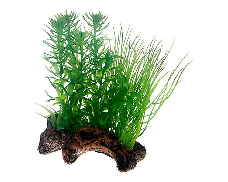 HOBBY Aquariendeko Flora Root 2 S, 17 cm - Kunststoffpflanze für Aquarien günstig online kaufen