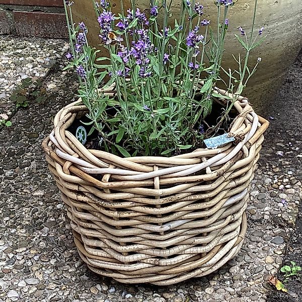 Van der Leeden Blumentopf Blumenkorb Pflanzkorb günstig online kaufen