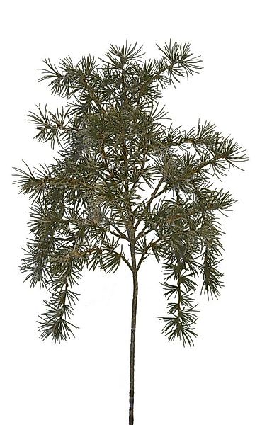 Kunstblume Nadelbaum Zeder mit Glitzerschnee überzogen günstig online kaufen