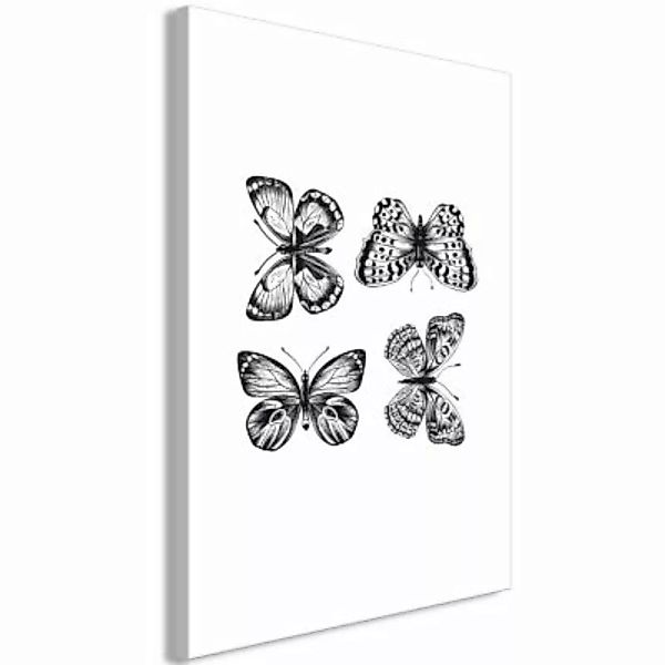 artgeist Wandbild Four Butterflies (1 Part) Vertical schwarz/weiß Gr. 40 x günstig online kaufen