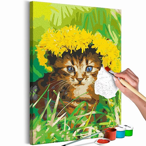Malen Nach Zahlen - Dandelion Cat günstig online kaufen