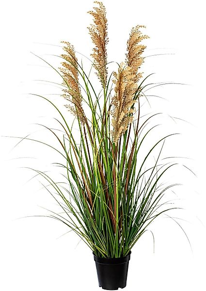 Kunstgras Grasbusch Rispenhirse Gras, Creativ green, günstig online kaufen