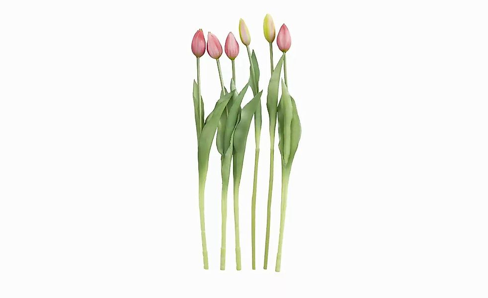 Tulpenbund  7-fach   ¦ rosa/pink ¦ Kunststoff,PVC ¦ Maße (cm): H: 44 Access günstig online kaufen