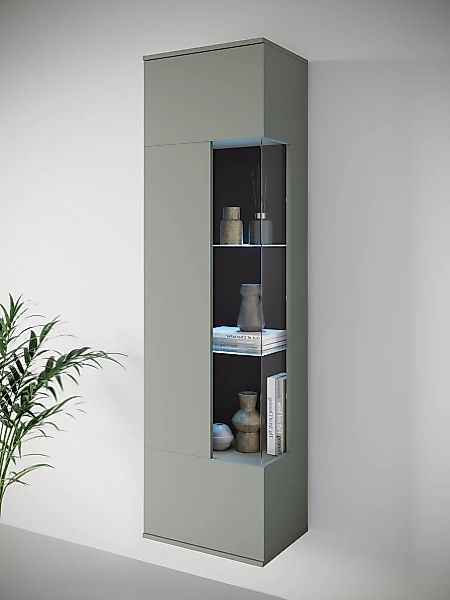 INOSIGN Vitrine "Kenia, stehend und hängend, Türanschlag wechselbar", (1 St günstig online kaufen