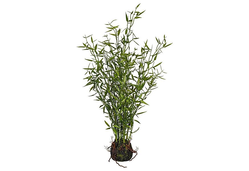 Kunstbaum Künstlicher Miniblatt-Bambus ca. 60cm im Moosballen, Gasper, Höhe günstig online kaufen