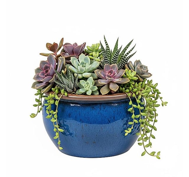 Teramico Pflanzkübel Blumentopf Keramik Modell "Bavaria" 24cm Royal Blau, 1 günstig online kaufen