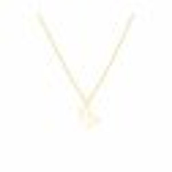 Anhänger mit Kette 925-Sterling Silber vergoldet Glänzend 42cm Steinbock günstig online kaufen