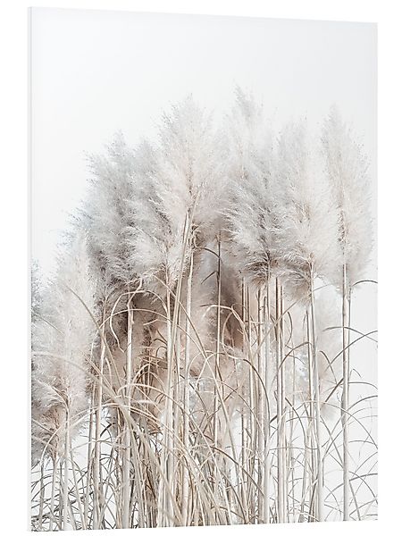 Posterlounge Wandbild Pampasgras I, Magda Izzard, günstig online kaufen