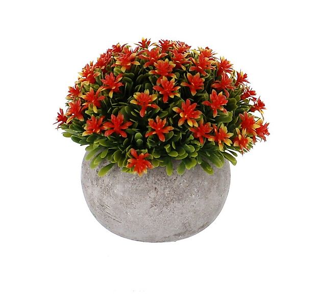 Kunstblume Blume in Topf - rot/grün/grau - künstlich - ca. 14 x 20 cm, MICA günstig online kaufen