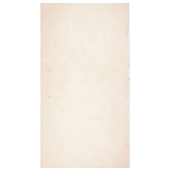 vidaXL Teppich HUARTE Kurzflor Weich und Waschbar Beige 80x150 cm 375014 günstig online kaufen