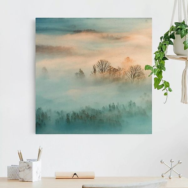 Leinwandbild auf Naturcanvas Nebel bei Sonnenaufgang günstig online kaufen