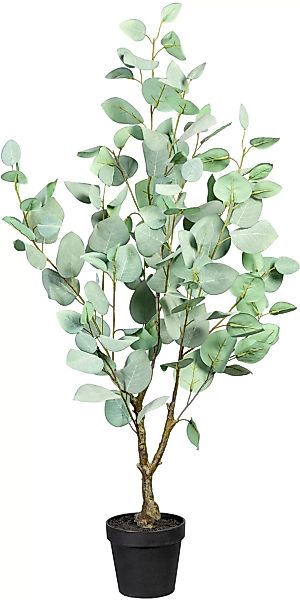Creativ green Künstliche Zimmerpflanze »Eukalypthus« günstig online kaufen