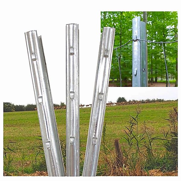 TRUTZHOLM Z Profil Zaunpfosten 215cm Verzinkt 40x Zaunpfähle mit Haken günstig online kaufen