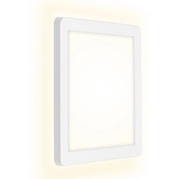 Briloner Leuchten Gartenstrahler 3010016, LED fest günstig online kaufen