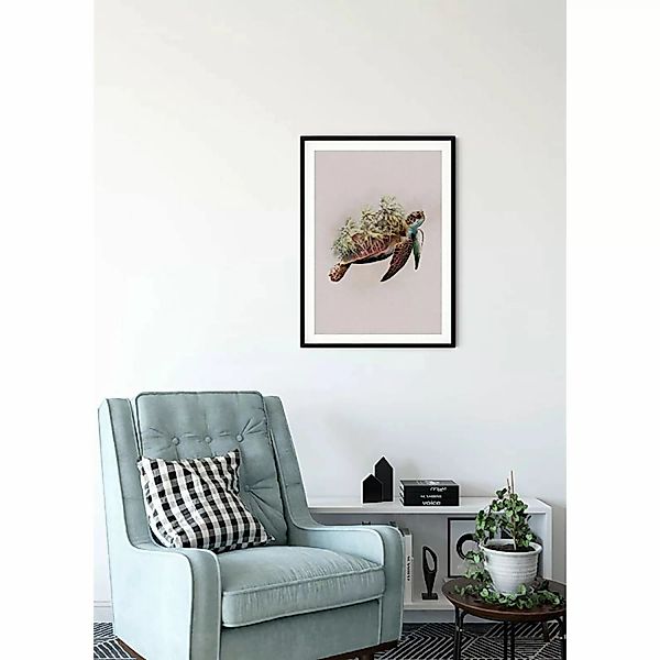 Komar Wandbild Animals Turtle 40 x 50 cm günstig online kaufen