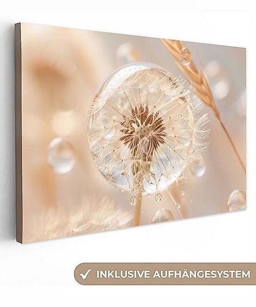 OneMillionCanvasses® Leinwandbild Löwenzahn - Wasser - Natur - Stillleben - günstig online kaufen