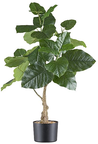 Kunstpflanze Ficus petiolaris, Creativ green, Höhe günstig online kaufen