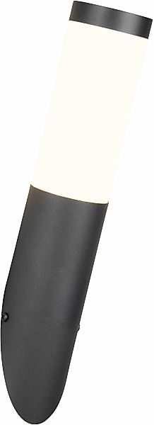 TRIO Leuchten Außen-Wandleuchte »TRIOTO, Outdoor Wandlampe Edelstahl, Wandf günstig online kaufen