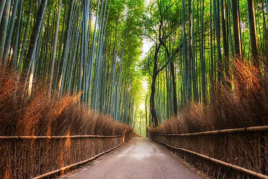 Papermoon Fototapete »Bamboo Grove of Kyoto« glatt günstig online kaufen