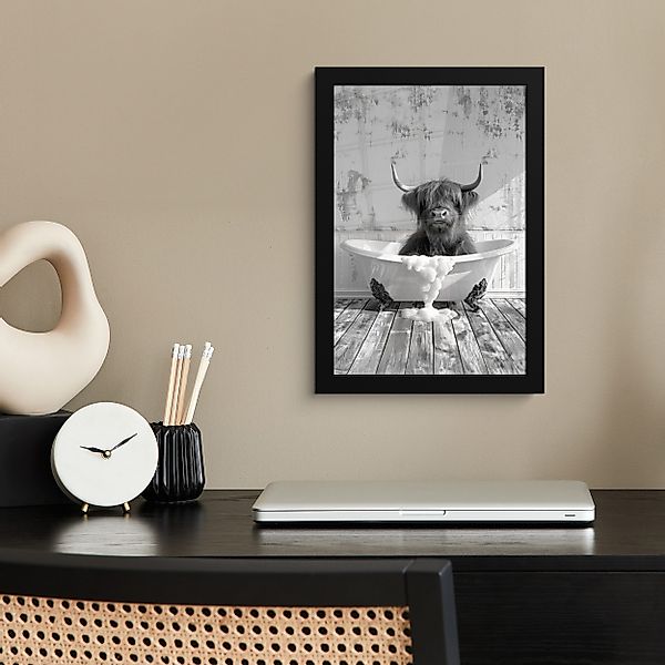 MuchoWow Poster Scottish Highlander - Tier günstig online kaufen