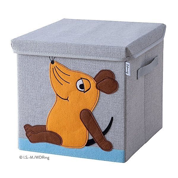 Lifeney Faltbox Aufbewahrungsbox, Ordnungsbox mit Deckel, günstig online kaufen