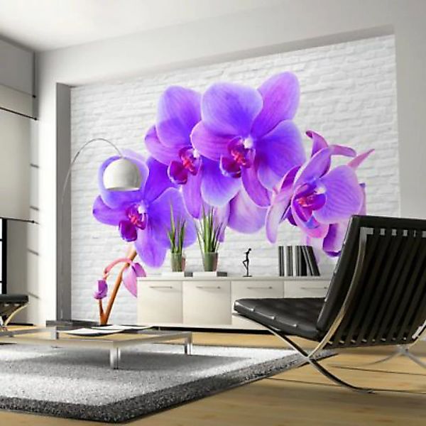 artgeist Fototapete Violet excitation mehrfarbig Gr. 350 x 245 günstig online kaufen