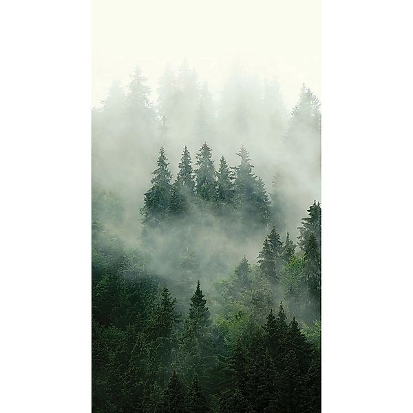 Sanders & Sanders Fototapete Berglandschaft Mit Bäumen Grün 1,5 x 2,7 m 601 günstig online kaufen