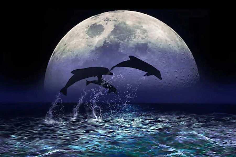 Papermoon Fototapete »Delfine bei Nacht« günstig online kaufen