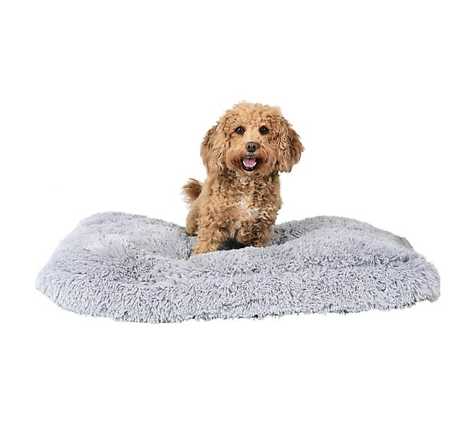 Petzy Hundematte Premium Plüsch Hundebett, Hundematte und Hundekissen, 100% günstig online kaufen