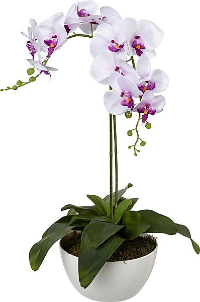 Kunstpflanze Orchidee, Creativ green, Höhe 65 günstig online kaufen