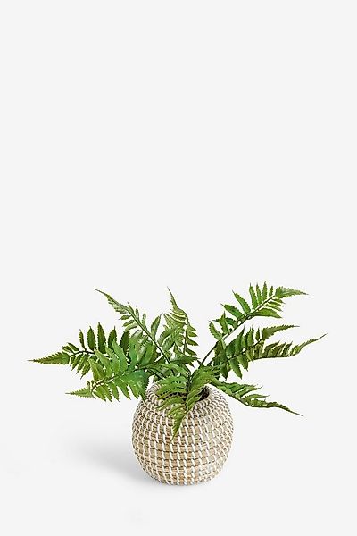 Künstliche Zimmerpflanze Künstlicher Farn im geflochtenen Topf, Next günstig online kaufen