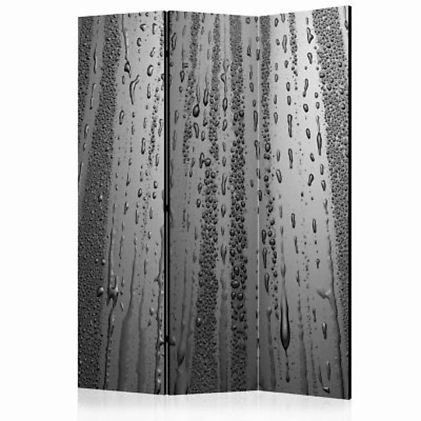 artgeist Paravent Summer drizzle [Room Dividers] grau Gr. 135 x 172 günstig online kaufen