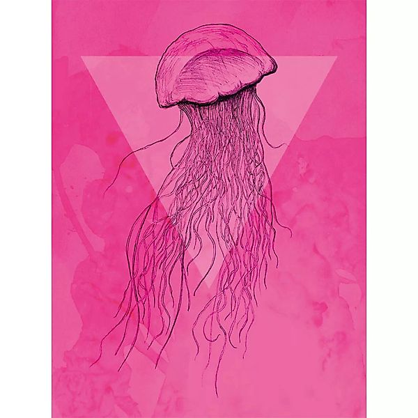 Komar Wandbild Jellyfish Pink Tiere B/L: ca. 30x40 cm günstig online kaufen