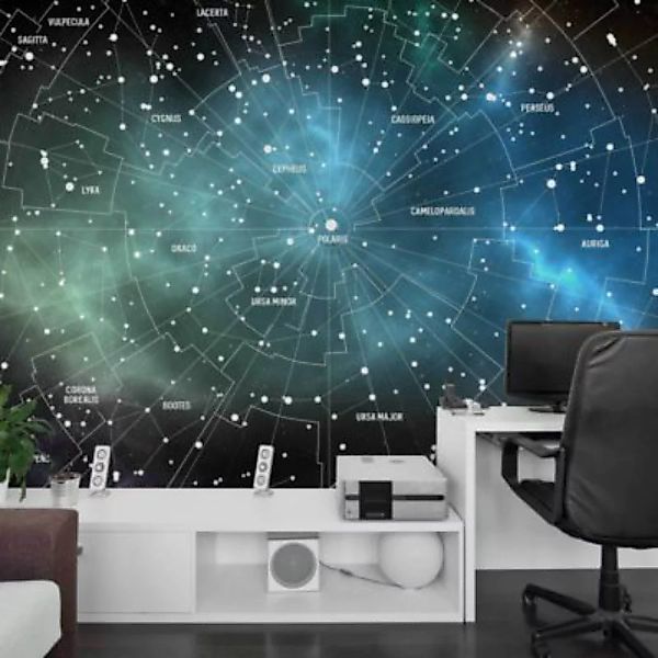 Bilderwelten Mustertapete Sternbilder Karte Galaxienebel schwarz Gr. 288 x günstig online kaufen