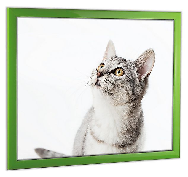 myposterframe Einzelrahmen Bilderrahmen Cupid Bunt, (1 günstig online kaufen