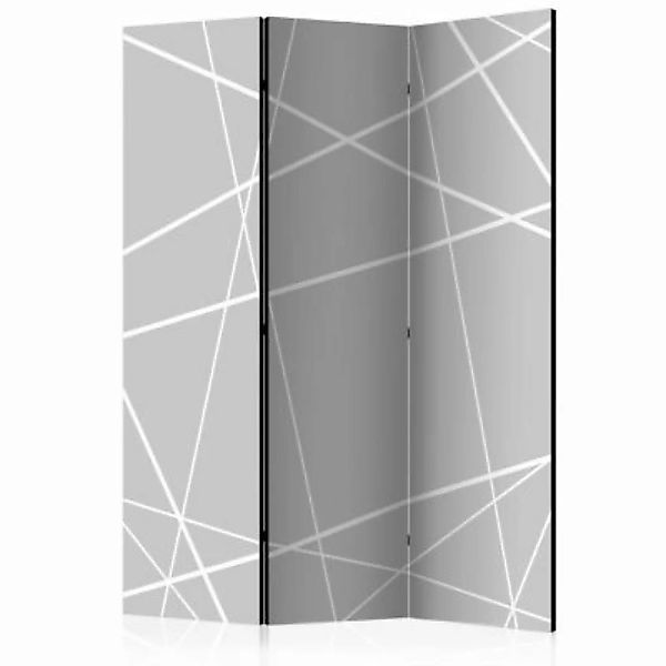 artgeist Paravent Modern Cobweb [Room Dividers] weiß/grau Gr. 135 x 172 günstig online kaufen