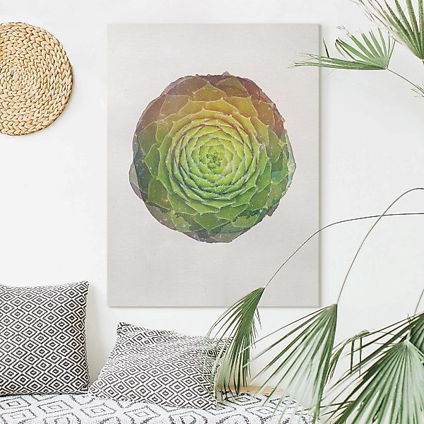 Leinwandbild - Hochformat Wasserfarben - Mandala Sukkulente günstig online kaufen