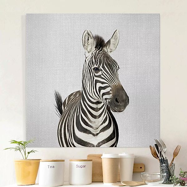 Leinwandbild Zebra Zilla günstig online kaufen