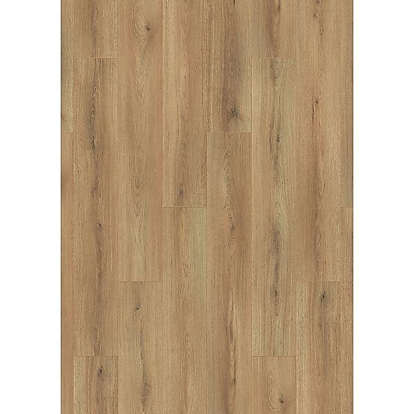 Kronoflooring Laminat 8 mm Eiche mit Trittschalldämmung günstig online kaufen