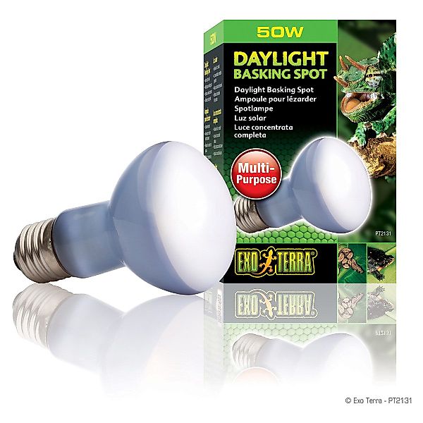 Exo Terra Terrarienleuchte Daylight Basking Spot günstig online kaufen