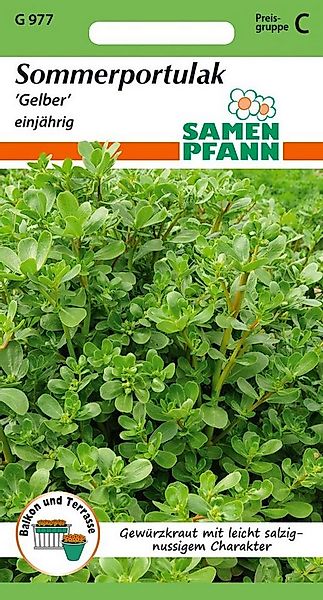 SAMEN PFANN Kräutersamen Sommerportulak, Gelber - Kräuter-Samen Gewürz Saat günstig online kaufen