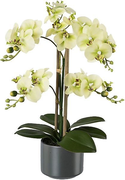 Creativ green Kunstpflanze "Orchidee" günstig online kaufen