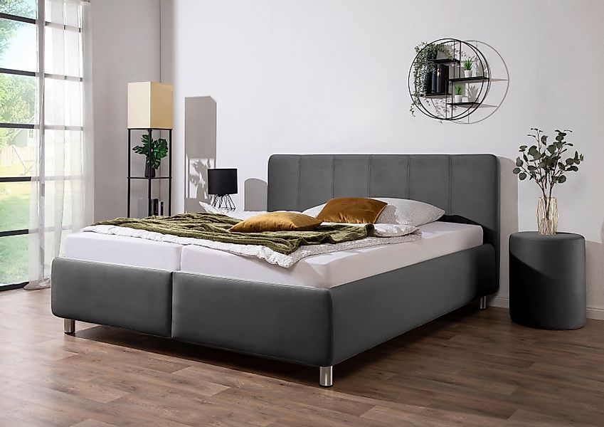 Maintal Polsterbett Wiesenblick, in Samt &Struktur günstig online kaufen