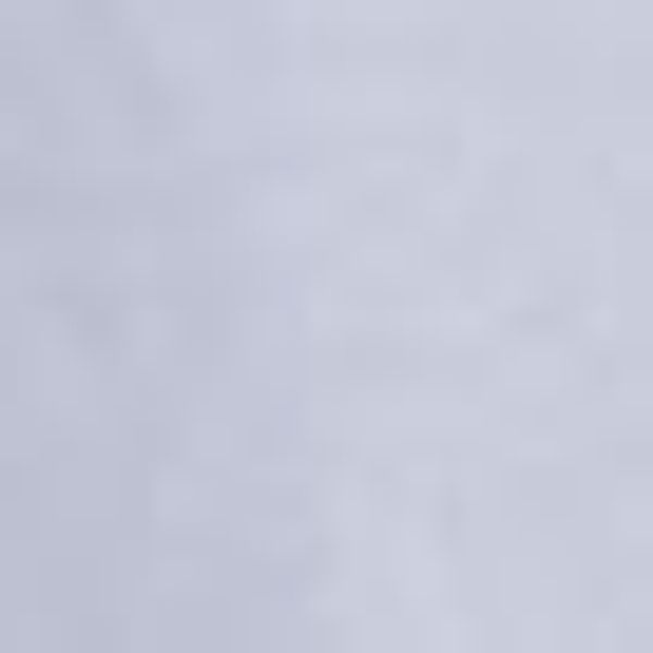 Gant Businesshemd REG OXFORD SHIRT Oxford günstig online kaufen