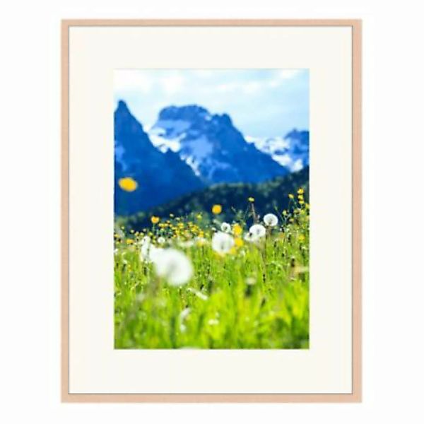 Any Image Wandbild Die Alpen beige Gr. 50 x 60 günstig online kaufen