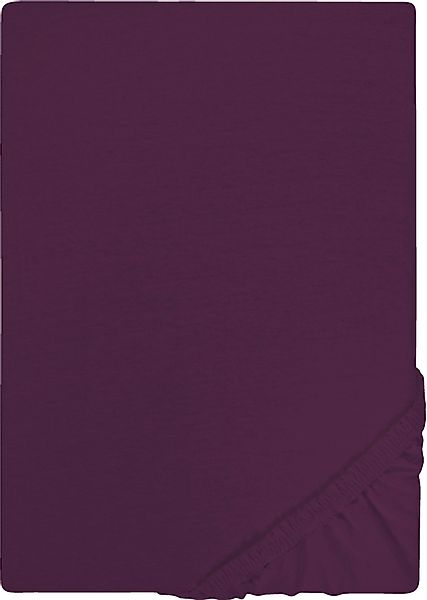 Castell - Markenbettwäsche Spannbettlaken Jersey in günstig online kaufen