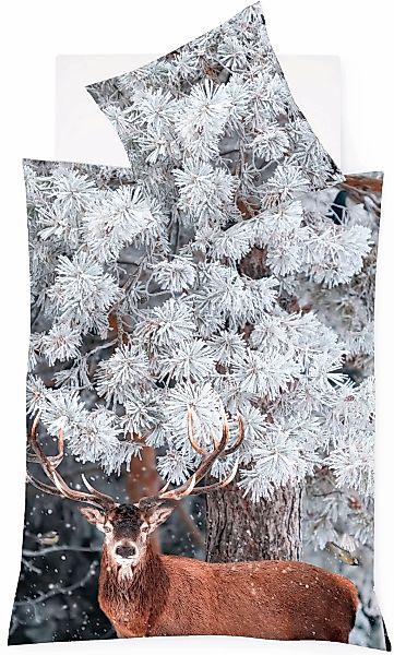 fleuresse Bettwäsche "Aspen 4381" 2 Stk. tlg. Feinbiber, Baumwolle, in Gr. günstig online kaufen