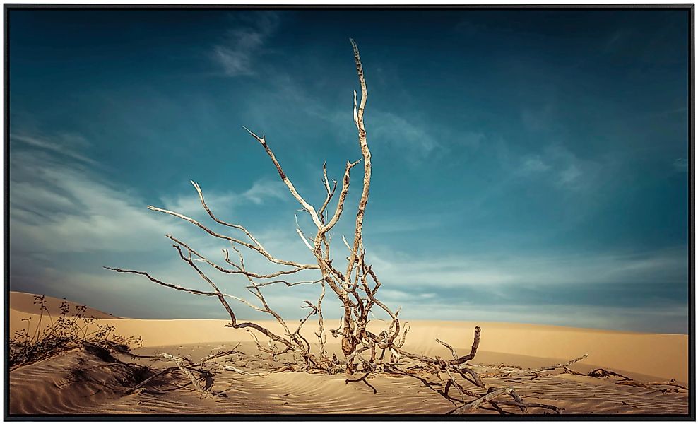 Papermoon Infrarotheizung »Toter Baum in Wüste«, sehr angenehme Strahlungsw günstig online kaufen