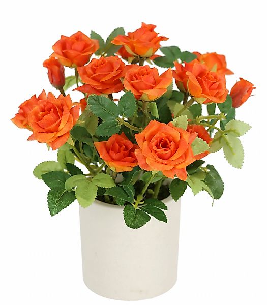 I.GE.A. Kunstblume "Wildrosen Busch im Topf", Rosen Kunstrosen Kunstpflanze günstig online kaufen